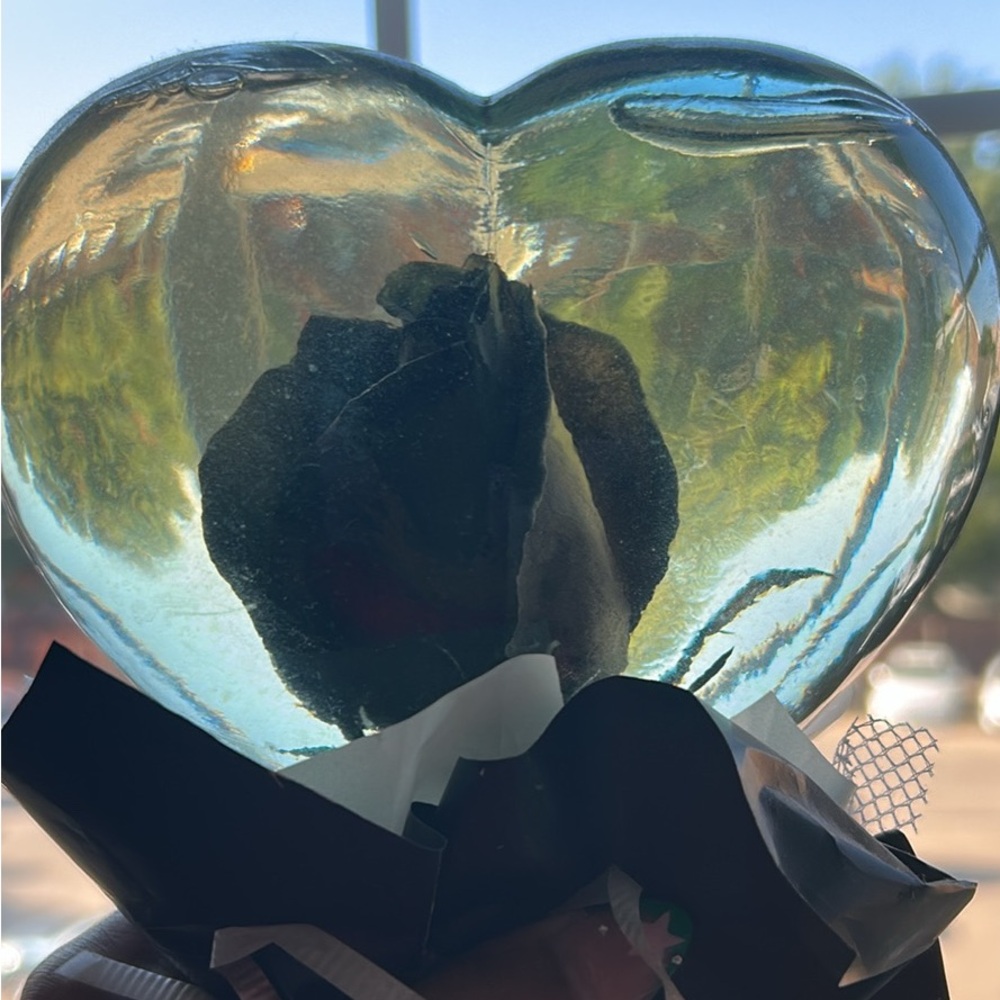 Heart-Shaped Glass Art with Black Rose